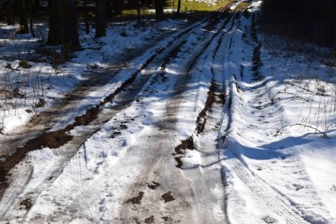 Kış ormanında yol