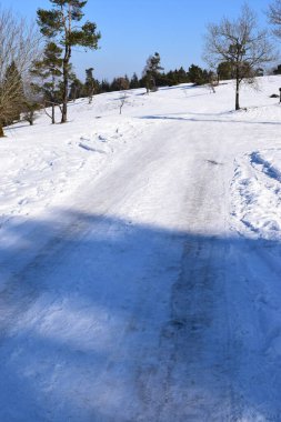Karlı kış ormanlarında yol.