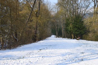 Kar ve ağaçlarla kaplı kış parkı