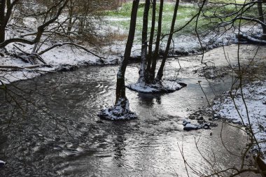 Ormanda küçük bir nehir.
