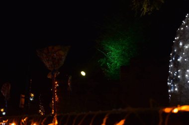 Kuzey Fransa 'da kışın Noel ışıkları yeşil ağaçlar