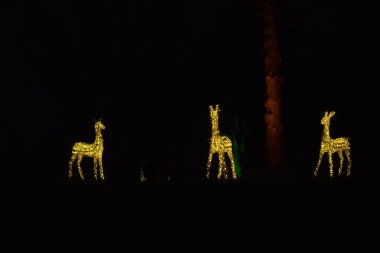 Parkta Noel süsü, ağaçlar arasında ren geyiği