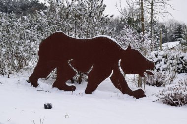 Kardaki büyük ayı.