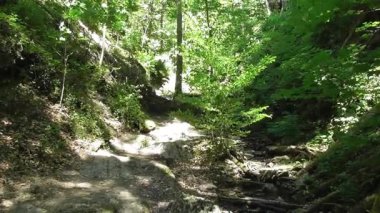 Almanya 'da Koblenz yakınlarında Lahntal' daki Ruppets Klamm şelalelerinde ve şelalelerinde yol alıyoruz.