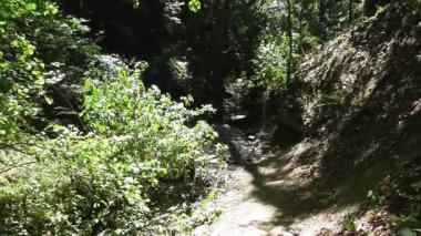 Almanya 'da Koblenz yakınlarında Lahntal' daki Ruppets Klamm şelalelerinde ve şelalelerinde yol alıyoruz.