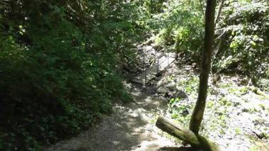 Almanya 'da Koblenz yakınlarında Lahntal' daki Ruppets Klamm şelalelerinde ve şelalelerinde yol alıyoruz.