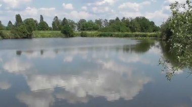 Kasırgada kamış kuşağı bataklık gölü, Thurer Wiesen, Almanya