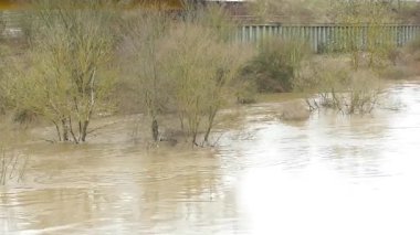 Aşağı Mosel Vadisi, Almanya 'da Lehmen, Niederfell ve Kobern-Gondorf arasındaki sel baskını