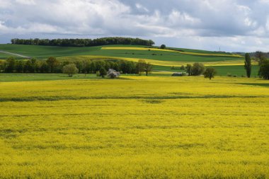 Tecavüz alanı olan bahar manzarası