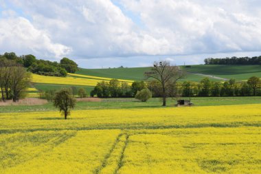 Yeşil çimen ve mavi gökyüzü olan güzel bir manzara.