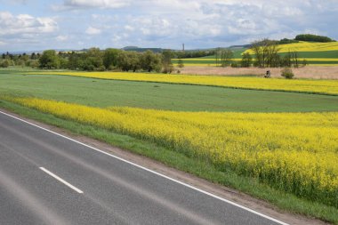 Uzaktaki tarlalar ve çayırlarla çevrili güzel bir yol manzarası.