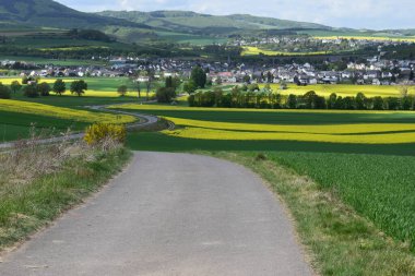 Thuer ve Mendig yakınlarındaki Eifel 'in güzel manzarası
