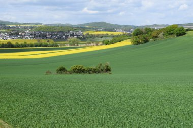 Doğanın güzel manzarası