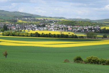 Eifel 'deki tecavüz sahalarının bahar manzarası