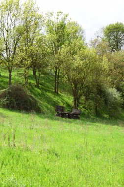 Yeşil bir orman ve bir tarlanın güzel manzarası