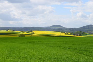 yeşil yakut tarlaları