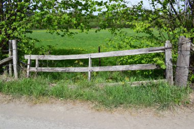 Çitleri ve ağaçları olan eski köy yolu.