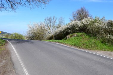 Kırsal bir alanda, arka planda bir ağaç olan köy yolu..