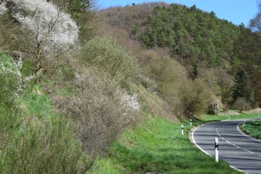 Bir dağ ile güzel bir arazide yol.