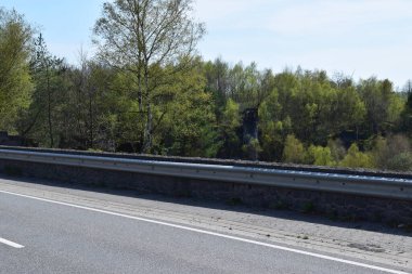 Baharda yeşil ağaçlı yol.