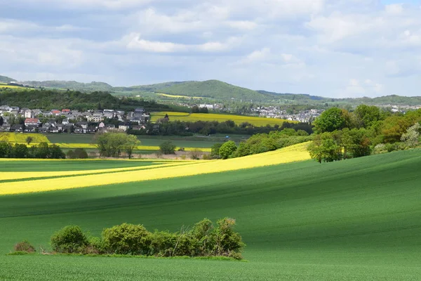 Mavi bulutlu gökyüzü ile güzel bir yeşil alan