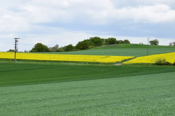 Doğanın güzel manzarası