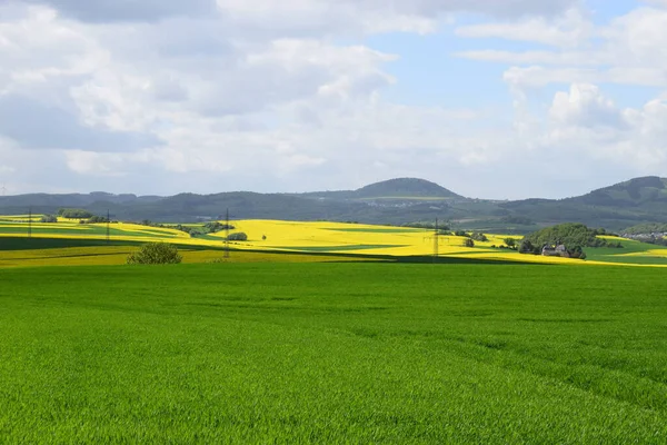 yeşil yakut tarlaları