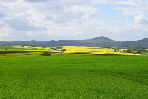 Yeşil tarlaları olan güzel yaz manzarası