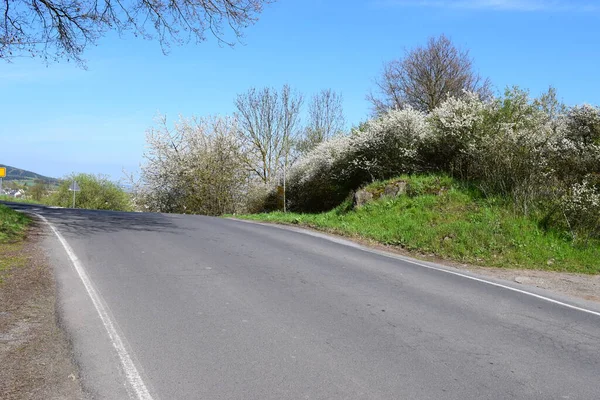 Kırsal bir alanda, arka planda bir ağaç olan köy yolu..