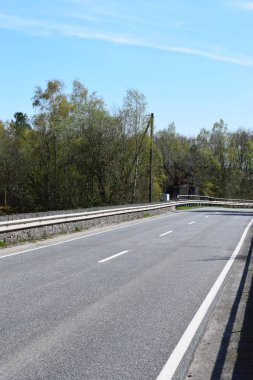 Ormana giden boş yol.