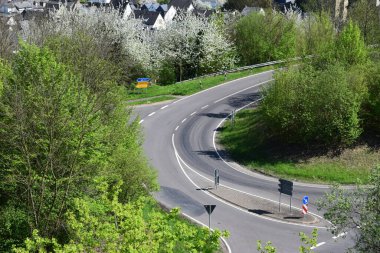 Boş bir yol manzarası, parktaki ağaçlar ve çalılar