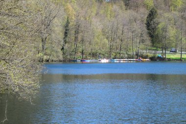Gemuendener Maar manzarası, yüzme alanı