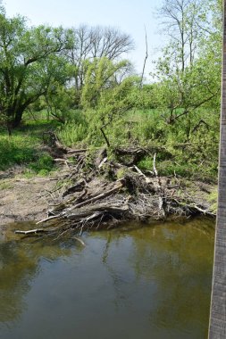 Ahr kıyısında büyük bir akıntı var.