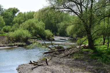 Ormandaki güzel Ahr nehri.
