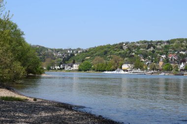 Linz 'de Ren, Ahr nehrinden görüldü.