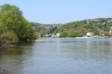 Baharda güzel Ren Vadisi manzarası