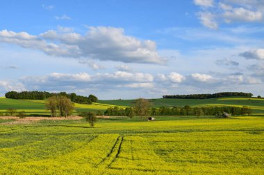Yeşil tarlası ve mavi gökyüzü olan güzel bir manzara.