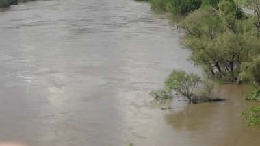 Çamurlu Mosel, ağaçların arasından taşar.