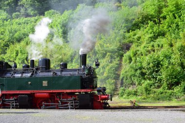 Yeşil orman geçmişi olan eski bir buhar lokomotifi.