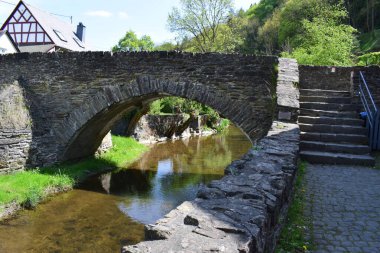Parktaki bir nehirde köprü