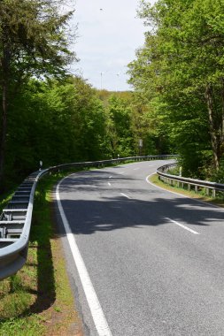 Ormanda dik virajlı bir yol