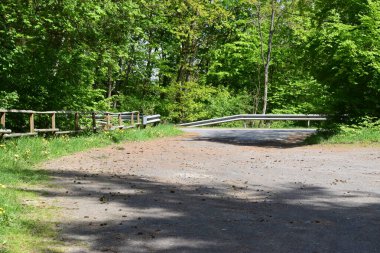 Orman yolundaki park yerinde.