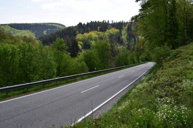 Enderttal 'daki ormandan geçen yol.