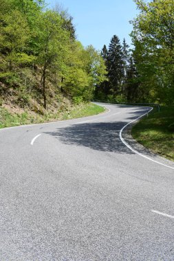 Boş asfalt yol orman yoluyla