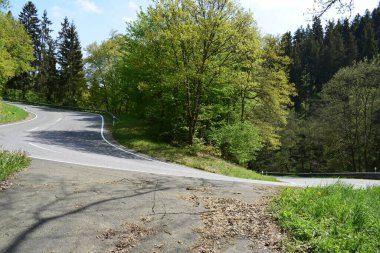 Ormanda keskin viraj