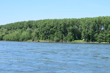 Baharın sonlarında Ren nehrinin manzarası