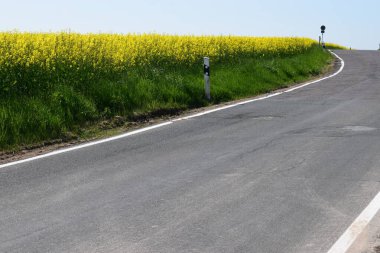 Kırsaldaki sarı tecavüz tarlaları