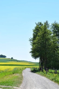 Kırsal bölgedeki toprak yol.
