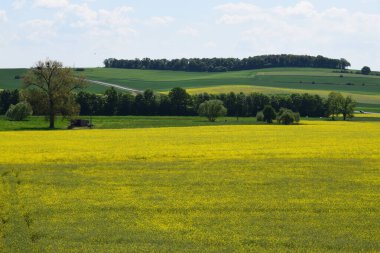 güzel manzara mavi gökyüzü ile