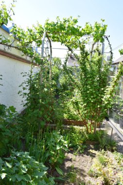 a beautiful view of the garden